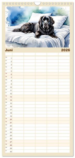 Produktbild: Familienplaner 2026 - Hundetr&auml;ume mit 5 Spalten (Wandkalender, 21 x 45 cm) CALVENDO