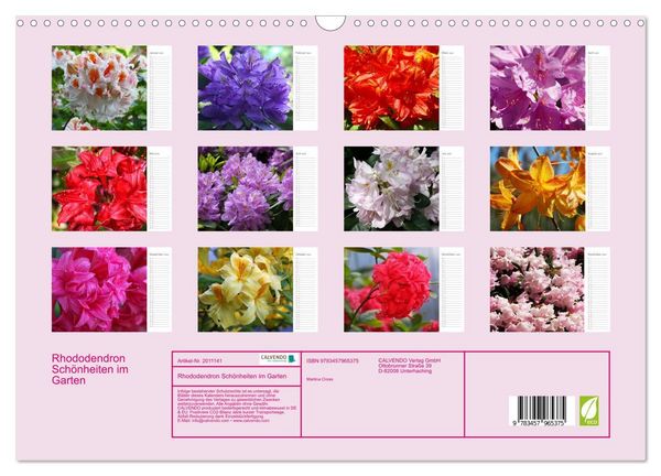 Produktbild: Rhododendron Sch&ouml;nheiten im Garten (Wandkalender 2026 DIN A3 quer), CALVENDO Monatskalender