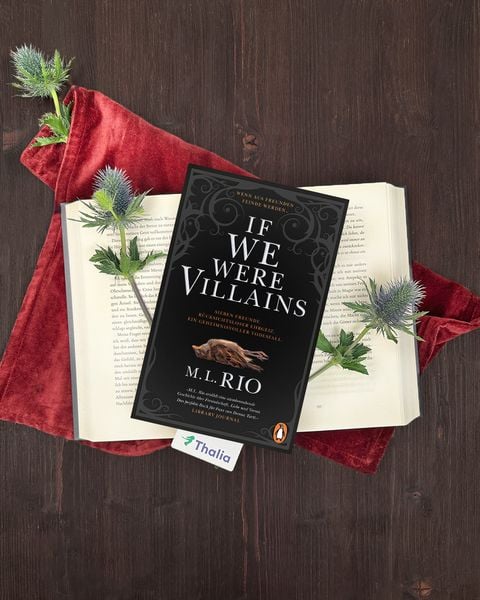 Produktbild: If We Were Villains. Wenn aus Freunden Feinde werden