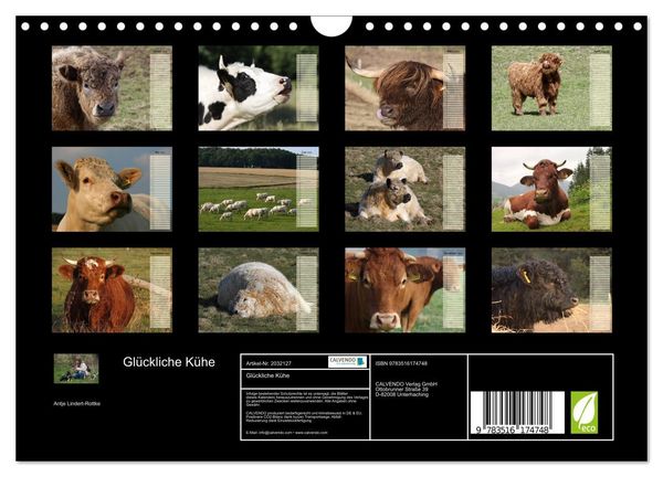Produktbild: Gl&uuml;ckliche K&uuml;he (Wandkalender 2026 DIN A4 quer), CALVENDO Monatskalender