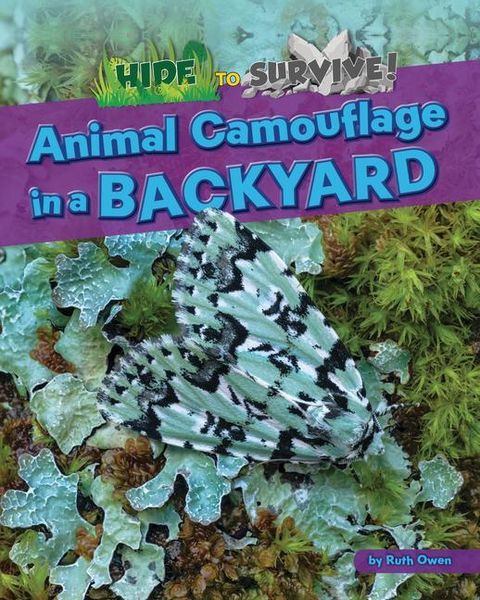 Produktbild: Animal Camouflage in a Backyard