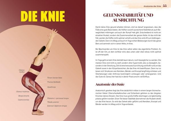 Produktbild: Easy Yoga-Anatomie