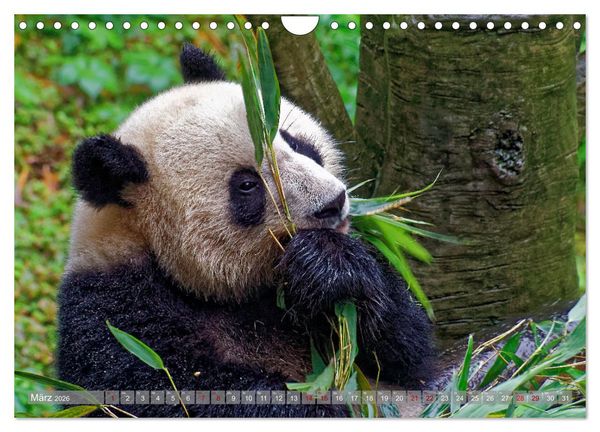 Produktbild: neunziggrad I photoart: china (Wandkalender 2026 DIN A4 quer), CALVENDO Monatskalender