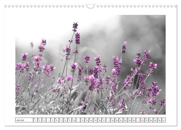 Produktbild: Natur schwarz - wei&szlig; Malerei (Wandkalender 2026 DIN A3 quer), CALVENDO Monatskalender