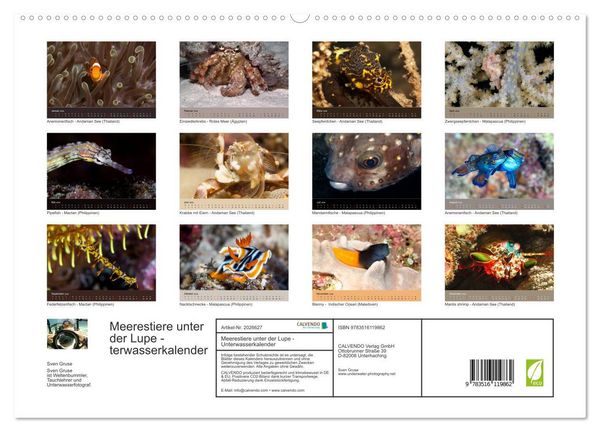 Produktbild: Meerestiere unter der Lupe - Unterwasserkalender (hochwertiger Premium Wandkalender 2026 DIN A2 quer), Kunstdruck in Hochglanz