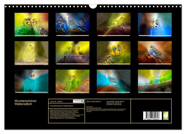 Produktbild: Wundersch&ouml;ner Wellensittich (Wandkalender 2026 DIN A3 quer), CALVENDO Monatskalender