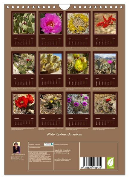 Produktbild: Wilde Kakteen Amerikas (Wandkalender 2026 DIN A4 hoch), CALVENDO Monatskalender