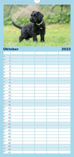 Produktbild: Briardbabys in ihren ersten Wochen - Familienplaner hoch (Wandkalender 2022 , 21 cm x 45 cm, hoch)