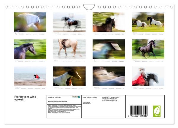 Produktbild: Pferde vom Wind verweht (Wandkalender 2026 DIN A4 quer), CALVENDO Monatskalender
