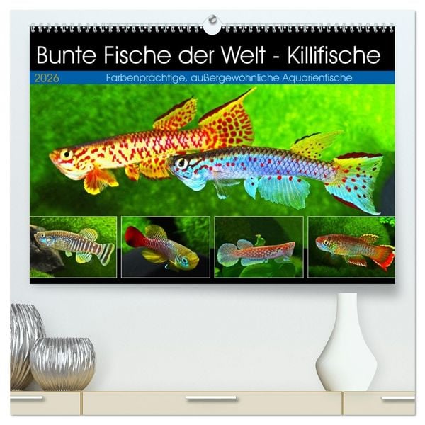 Produktbild: Bunte Fische der Welt - Killifische (hochwertiger Premium Wandkalender 2026 DIN A2 quer), Kunstdruck in Hochglanz