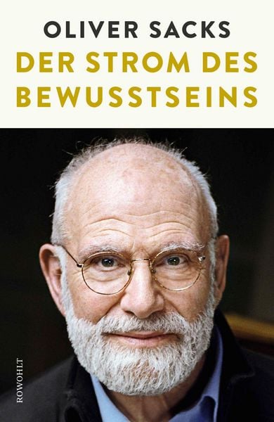 Produktbild: Der Strom des Bewusstseins