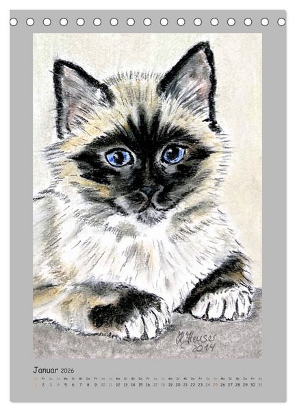 Produktbild: PortraiTierART Samtpf&ouml;tchen (Tischkalender 2026 DIN A5 hoch), CALVENDO Monatskalender