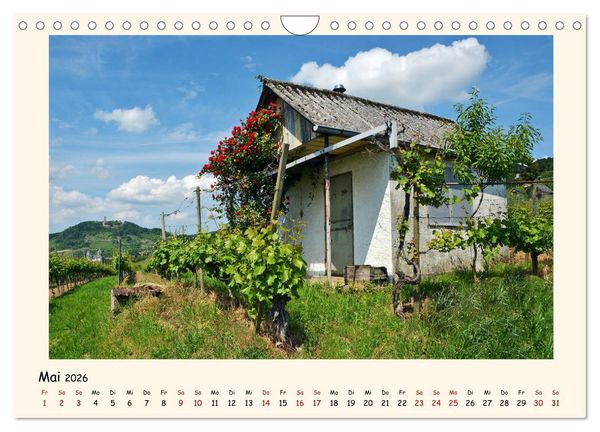 Produktbild: Weinlandschaft - Heppenheim an der Bergstra&szlig;e (Wandkalender 2026 DIN A4 quer), CALVENDO Monatskalender