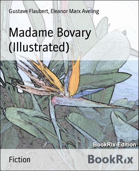 Produktbild: Madame Bovary (Illustrated)