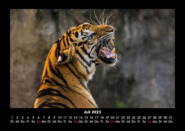 Produktbild: Welt der Tiere 2025 Fotokalender DIN A3