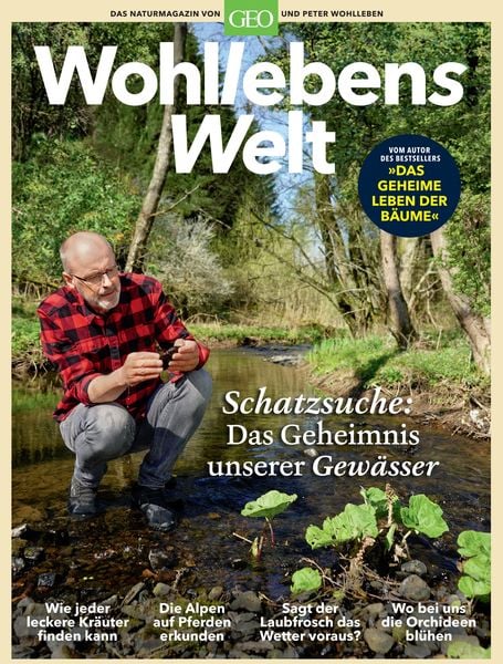 Wohllebens Welt / Wohllebens Welt 6/2020 - Schatzsuche: Das Geheimnis unserer Gewässer, Taschenbuch von Peter Wohlleben, Gruner + Jahr,