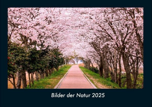 Produktbild: Bilder der Natur 2025 Fotokalender DIN A4
