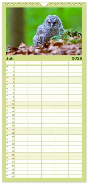 Produktbild: Familienplaner 2026 - geliebte Waldgeister mit 5 Spalten (Wandkalender, 21 x 45 cm) CALVENDO