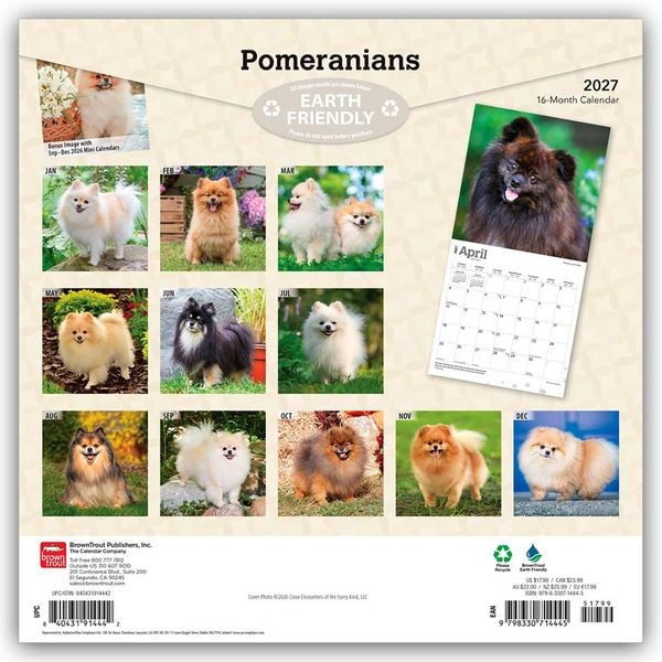 Produktbild: Pomeranians &ndash; Spitz 2027 &ndash; 16-Monatskalender