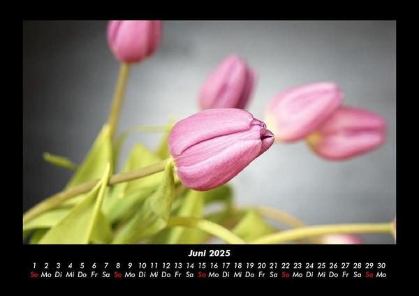 Produktbild: Blumenkalender 2025 Fotokalender DIN A3