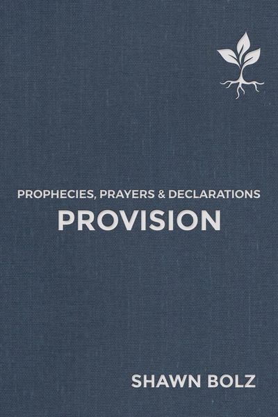 Produktbild: Provision