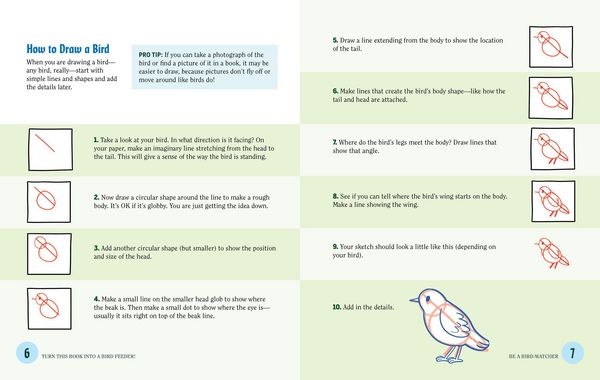 Produktbild: Turn This Book Into a Bird Feeder!