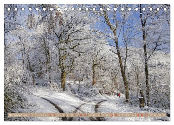 Produktbild: Der Wald - Ort der Ruhe und Besinnung (Tischkalender 2026 DIN A5 quer), CALVENDO Monatskalender