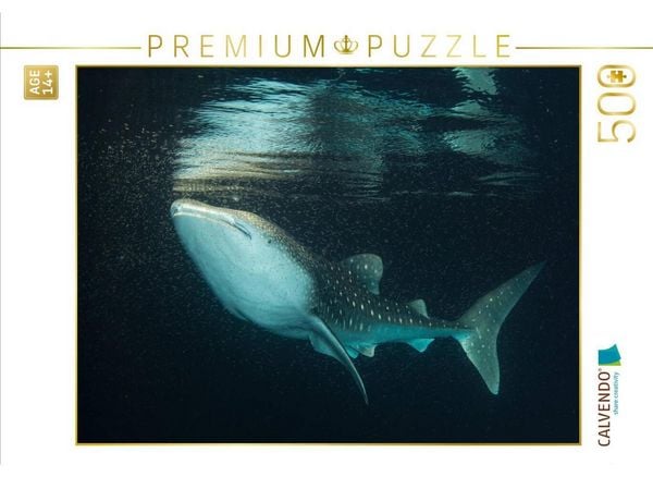CALVENDO Puzzle Ein Motiv aus dem Kalender Malediven - Die bunte Unterwasserwelt | 500 Teile Lege-Größe 48 × 36 cm Foto-Puzzle für Erwachsene