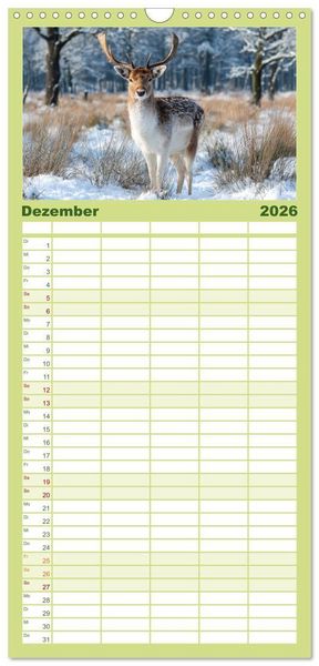 Produktbild: Familienplaner 2026 - HIRSCHE UND REHE - Ein Jahr in freier Wildbahn mit 5 Spalten (Wandkalender, 21 x 45 cm) CALVENDO