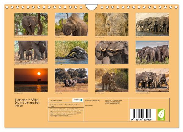 Produktbild: Elefanten in Afrika - Die mit den gro&szlig;en Ohren (Wandkalender 2026 DIN A4 quer), CALVENDO Monatskalender