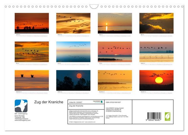 Produktbild: Zug der Kraniche (Wandkalender 2026 DIN A3 quer), CALVENDO Monatskalender