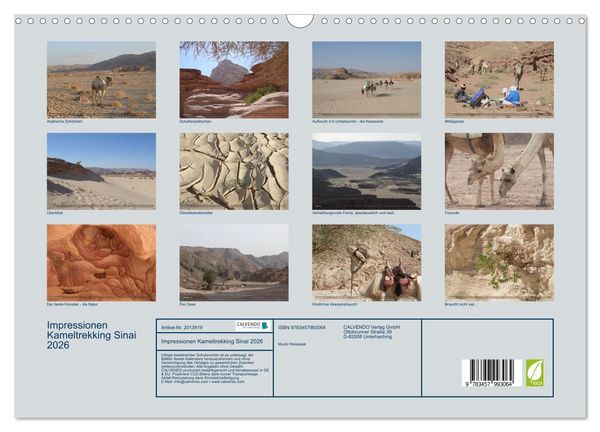 Produktbild: Impressionen Kameltrekking Sinai 2026 (Wandkalender 2026 DIN A3 quer), CALVENDO Monatskalender