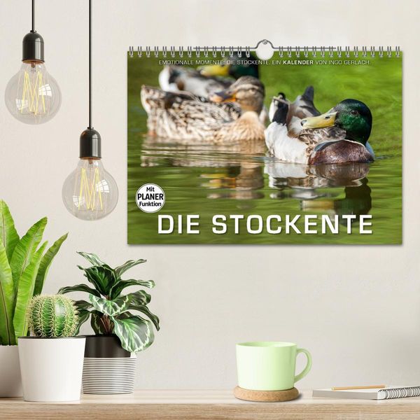Produktbild: Emotionale Momente: Die Stockente. (Wandkalender 2026 DIN A4 quer), CALVENDO Monatskalender