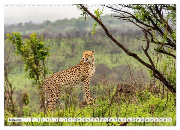 Produktbild: S&uuml;dafrika - Landschaft voller Vielfalt und Sch&ouml;nheit (hochwertiger Premium Wandkalender 2026 DIN A2 quer), Kunstdruck in Hochglanz