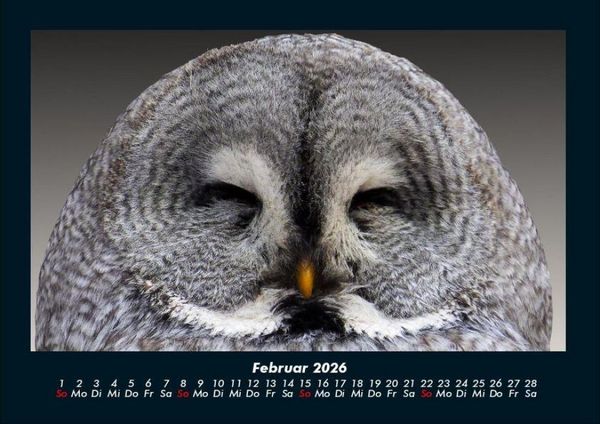 Produktbild: Vogelparadies 2026 Fotokalender DIN A4