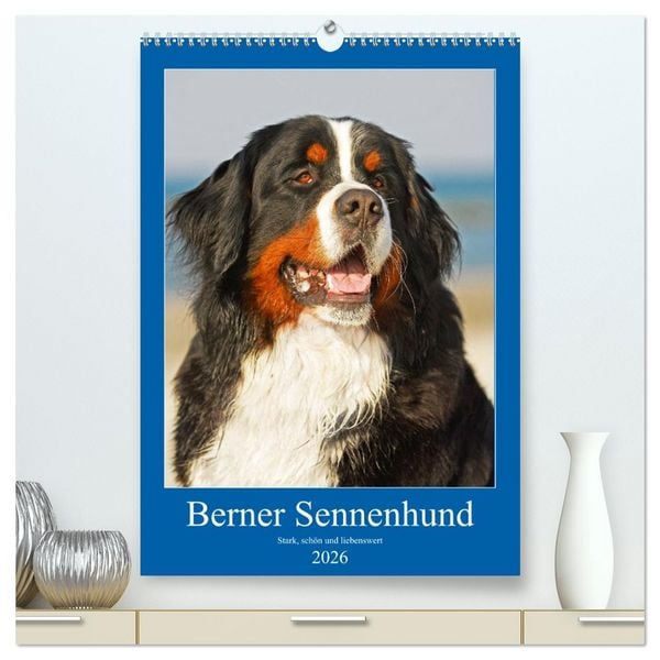 Produktbild: Berner Sennenhund - stark , sch&ouml;n und liebenswert (hochwertiger Premium Wandkalender 2026 DIN A2 hoch), Kunstdruck in Hochglanz