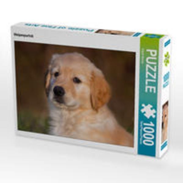 CALVENDO Puzzle Welpenporträt 1000 Teile Lege-Größe 64 x 48 cm Foto-Puzzle Bild von Sigrid Starick
