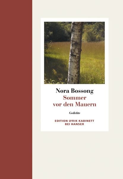 Produktbild: Sommer vor den Mauern