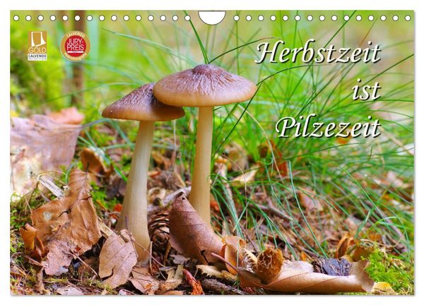Produktbild: Herbstzeit ist Pilzezeit (Wandkalender 2026 DIN A4 quer), CALVENDO Monatskalender