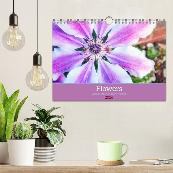 Produktbild: Vibrancy of flowers (Wall Calendar 2026 DIN A4 landscape), CALVENDO 12 Month Wall Calendar
