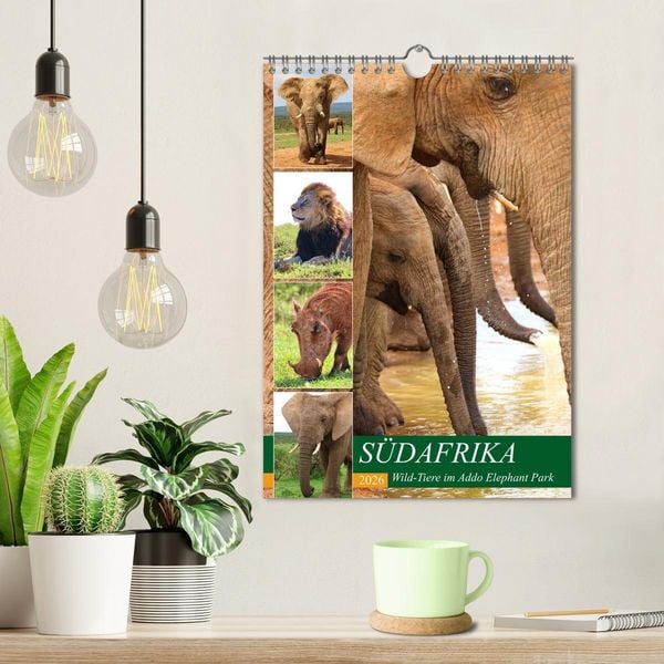 Produktbild: S&Uuml;DAFRIKA Wild-Tiere im Addo Elephant Park (Wandkalender 2026 DIN A4 hoch), CALVENDO Monatskalender