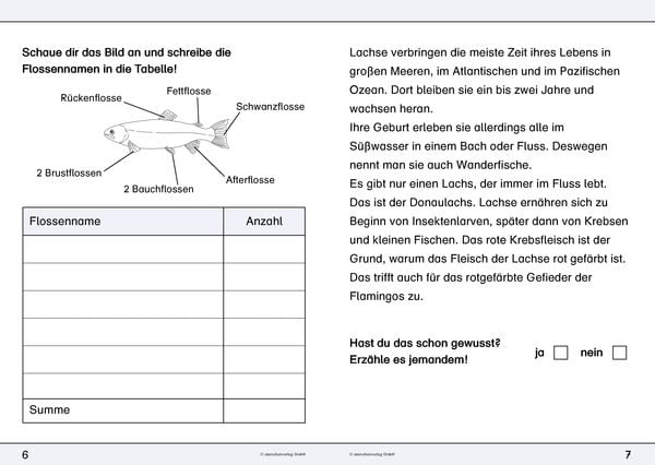 Produktbild: Ich kenne den Lachs - Lebenszyklus