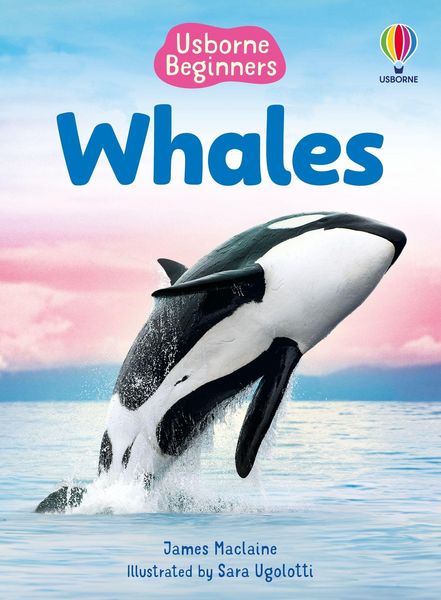 Produktbild: Whales (Usborne Beginners)