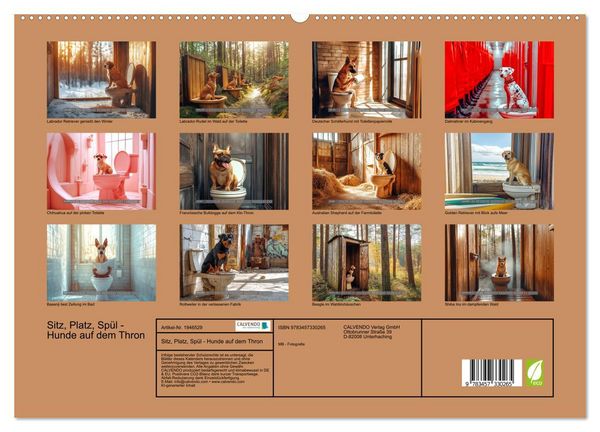 Produktbild: Sitz, Platz, Sp&uuml;l - Hunde auf dem Thron (hochwertiger Premium Wandkalender 2026 DIN A2 quer), Kunstdruck in Hochglanz
