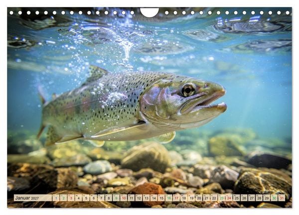 Produktbild: Talsperren - Raubfische (Wandkalender 2027 DIN A4 quer), CALVENDO Monatskalender
