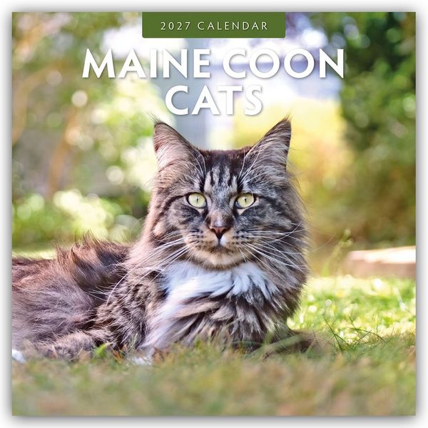 Produktbild: Maine Coon Cats &ndash; Maine Coon Katzen 2027 &ndash; 16-Monatskalender