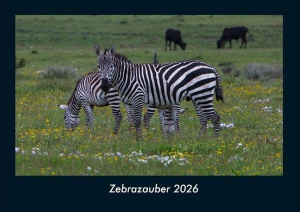Produktbild: Zebrazauber 2026 Fotokalender DIN A4