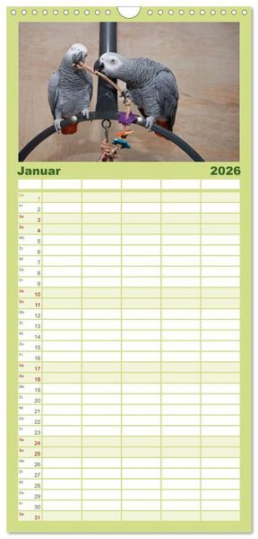 Produktbild: Familienplaner 2026 - Graupapageien zum Verlieben mit 5 Spalten (Wandkalender, 21 x 45 cm) CALVENDO