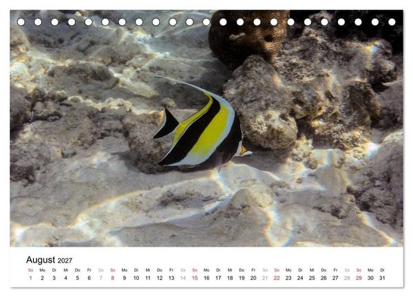 Produktbild: Unterwasserwelt der Malediven II (Tischkalender 2027 DIN A5 quer), CALVENDO Monatskalender