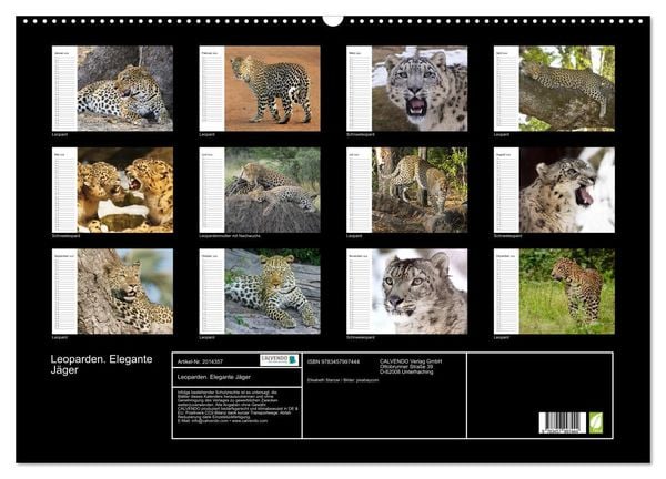 Produktbild: Leoparden. Elegante J&auml;ger (Wandkalender 2026 DIN A2 quer), CALVENDO Monatskalender